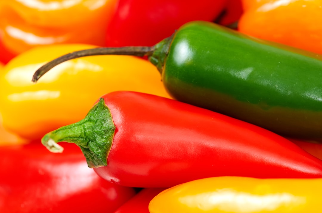 découvrez des recettes bio et savoureuses qui mettent à l'honneur des ingrédients naturels et sains. explorez notre collection de plats faits maison pour une cuisine écoresponsable et délicieuse.