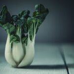 découvrez des recettes saines et savoureuses avec notre sélection de recettes bio. apprenez à cuisiner avec des ingrédients naturels et améliorez votre alimentation tout en vous régalant. explorez notre collection d'idées recettes pour une cuisine éthique et délicieuse.