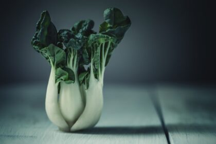 découvrez des recettes saines et savoureuses avec notre sélection de recettes bio. apprenez à cuisiner avec des ingrédients naturels et améliorez votre alimentation tout en vous régalant. explorez notre collection d'idées recettes pour une cuisine éthique et délicieuse.
