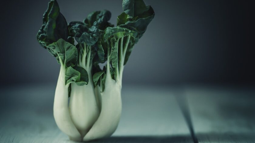découvrez des recettes saines et savoureuses avec notre sélection de recettes bio. apprenez à cuisiner avec des ingrédients naturels et améliorez votre alimentation tout en vous régalant. explorez notre collection d'idées recettes pour une cuisine éthique et délicieuse.