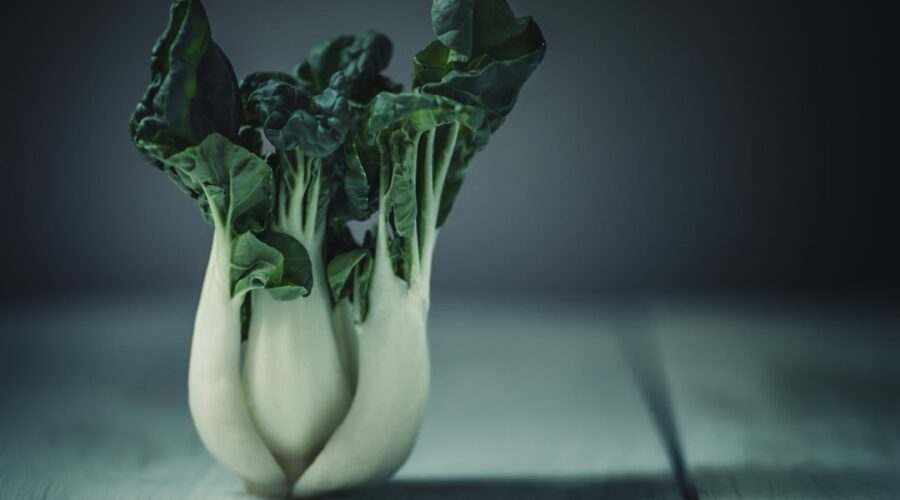 découvrez des recettes saines et savoureuses avec notre sélection de recettes bio. apprenez à cuisiner avec des ingrédients naturels et améliorez votre alimentation tout en vous régalant. explorez notre collection d'idées recettes pour une cuisine éthique et délicieuse.