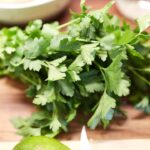 découvrez le persil, une plante aromatique aux multiples bienfaits. que ce soit en cuisine pour rehausser vos plats ou en phytothérapie pour ses propriétés nutritionnelles, le persil est un incontournable. explorez ses variétés, conseils de culture et astuces pour l'intégrer dans votre quotidien.