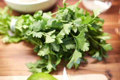découvrez le persil, une plante aromatique aux multiples bienfaits. que ce soit en cuisine pour rehausser vos plats ou en phytothérapie pour ses propriétés nutritionnelles, le persil est un incontournable. explorez ses variétés, conseils de culture et astuces pour l'intégrer dans votre quotidien.