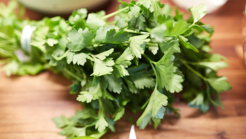 découvrez le persil, une plante aromatique aux multiples bienfaits. que ce soit en cuisine pour rehausser vos plats ou en phytothérapie pour ses propriétés nutritionnelles, le persil est un incontournable. explorez ses variétés, conseils de culture et astuces pour l'intégrer dans votre quotidien.