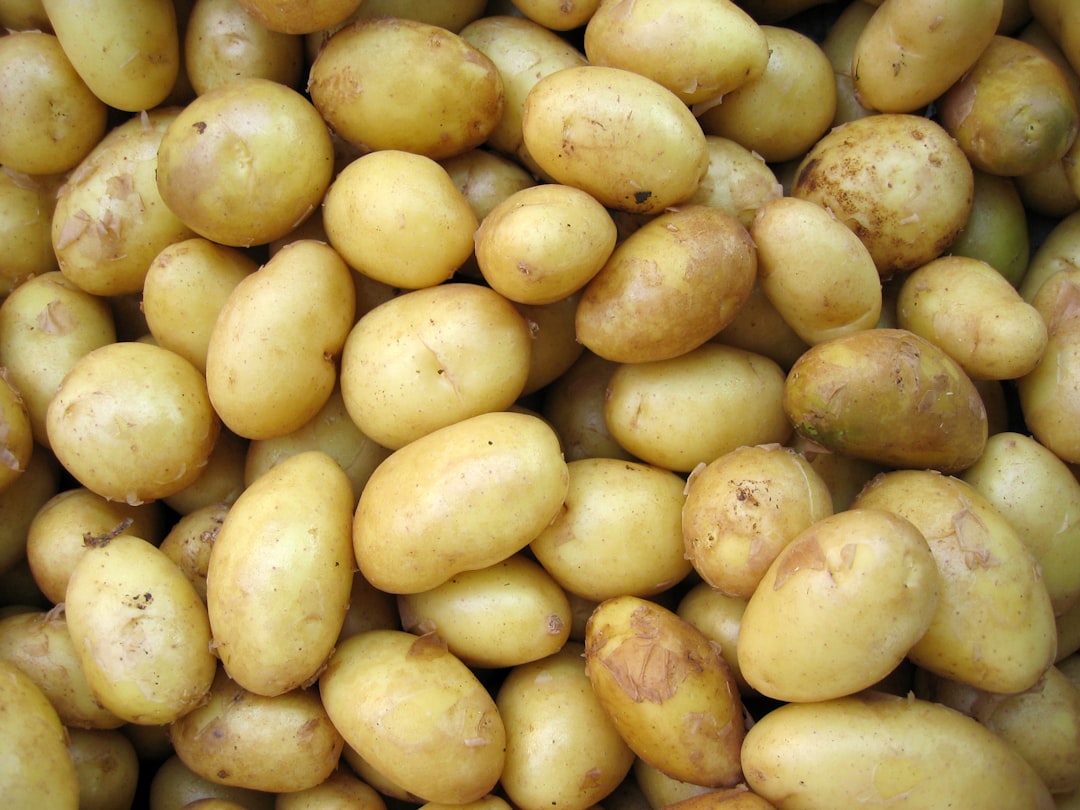découvrez la recette authentique des patatas bravas, un incontournable de la cuisine espagnole ! ces délicieuses pommes de terre croustillantes, accompagnées d'une sauce piquante, raviront vos papilles. parfaites pour un apéritif ou un plat principal, laissez-vous séduire par cette spécialité pleine de saveurs.