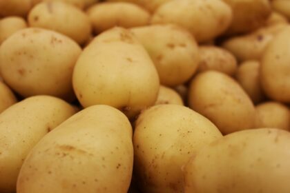 découvrez notre délicieuse recette de patatas bravas, des pommes de terre croustillantes accompagnées d'une sauce piquante et savoureuse. idéales en tapas, ces bouchées vous plongeront au cœur de la cuisine espagnole. parfaites pour partager ou déguster seul !