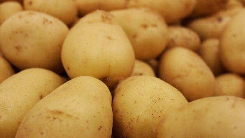 découvrez notre délicieuse recette de patatas bravas, des pommes de terre croustillantes accompagnées d'une sauce piquante et savoureuse. idéales en tapas, ces bouchées vous plongeront au cœur de la cuisine espagnole. parfaites pour partager ou déguster seul !