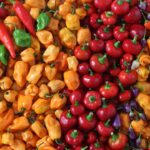 découvrez l'univers du poivre, cette épice incontournable qui rehausse vos plats. apprenez tout sur ses variétés, ses bienfaits pour la santé, et des conseils gourmands pour l'utiliser en cuisine.