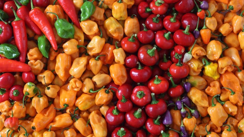 découvrez l'univers du poivre, cette épice incontournable qui rehausse vos plats. apprenez tout sur ses variétés, ses bienfaits pour la santé, et des conseils gourmands pour l'utiliser en cuisine.