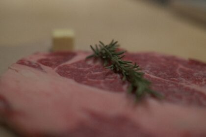 découvrez comment préparer le steak parfait grâce à nos conseils culinaires et à nos techniques de cuisson. apprenez à choisir la meilleure viande, à maîtriser les temps de cuisson pour un résultat juteux et savoureux, et à assaisonner votre steak pour un festin inoubliable.