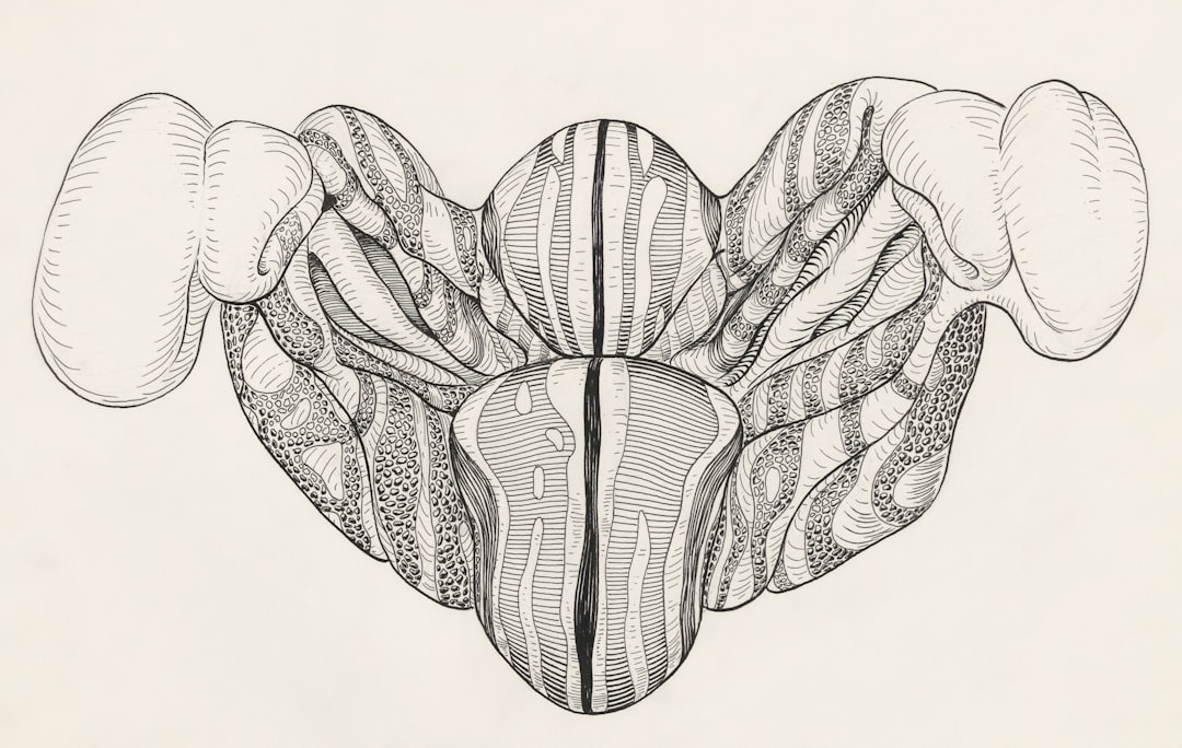 découvrez notre phytothèque, une ressource incontournable dédiée aux plantes médicinales et aromatiques. explorez nos fiches détaillées, conseils d'utilisation et recettes pour profiter des bienfaits de la nature au quotidien.
