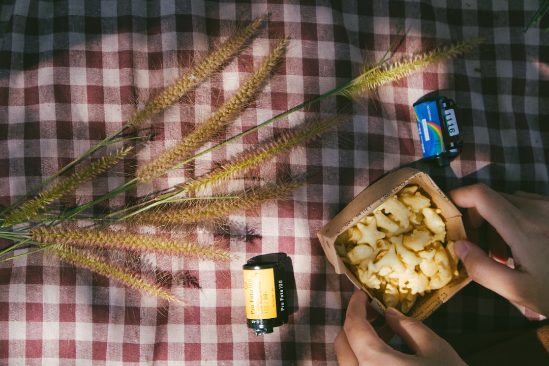 découvrez des recettes de pique-nique délicieuses et faciles à préparer pour un moment convivial en plein air. que vous cherchiez des salades, des sandwiches ou des desserts, nos idées vous permettront de savourer votre repas en pleine nature.