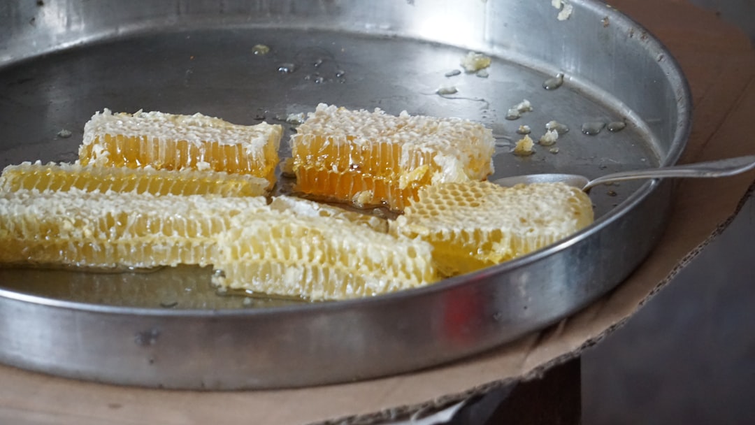 découvrez la polenta, un plat traditionnel italien à base de semoule de maïs. savoureuse et polyvalente, elle se prête à de nombreuses recettes, qu'elles soient sucrées ou salées, et constitue une délicieuse alternative aux féculents classiques. apprenez à la préparer et à l'accompagner pour régaler vos convives.