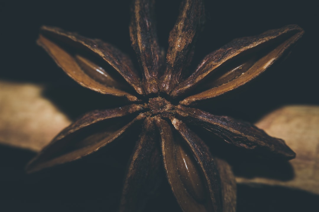 découvrez les bienfaits du cataplasme : une méthode naturelle pour soulager les douleurs, favoriser la guérison et bénéficier des propriétés des plantes. apprenez à préparer et utiliser des cataplasmes pour une approche bien-être efficace.