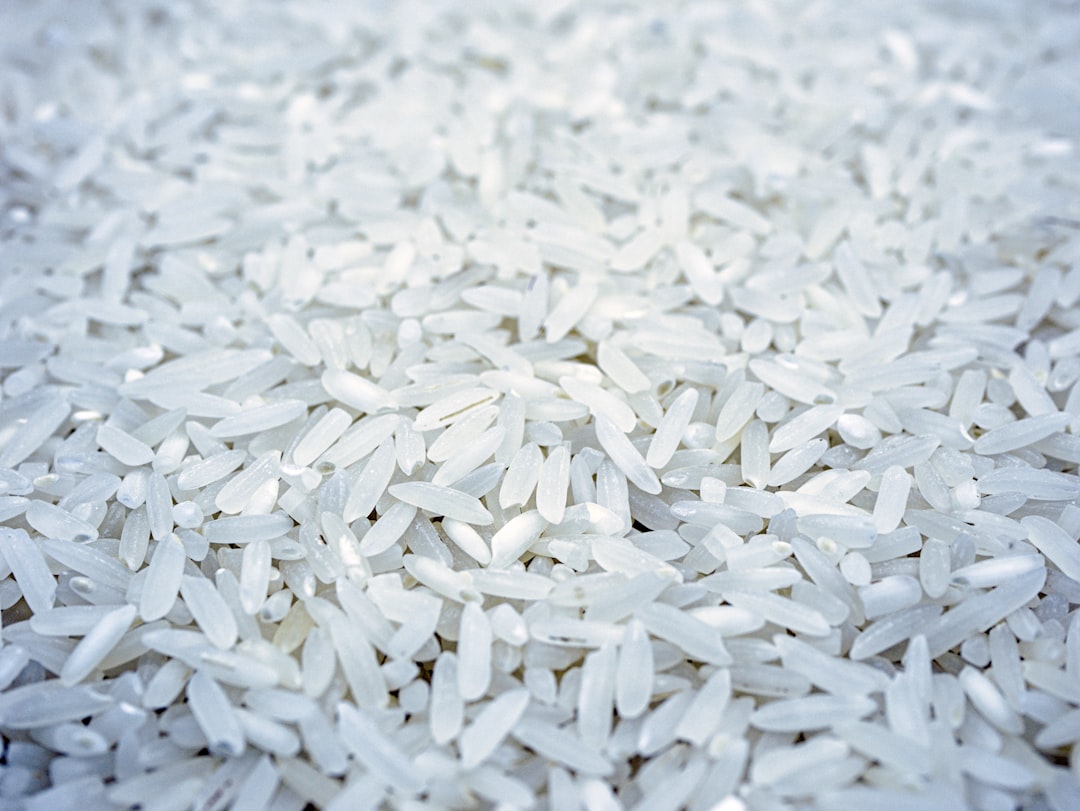 découvrez le riz, un aliment de base savoureux et nutritif, parfait pour accompagner vos plats préférés. explorez les différentes variétés de riz et apprenez des astuces de cuisson pour enrichir vos recettes.
