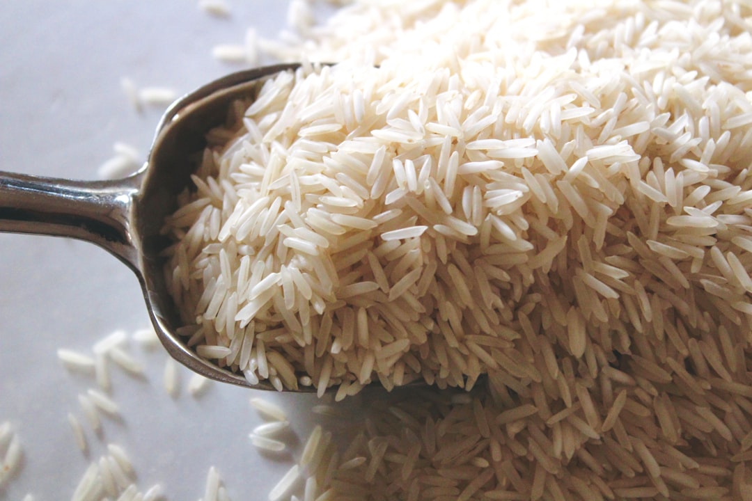 découvrez tout sur le riz, un aliment polyvalent et nutritif. explorez les différentes variétés, recettes, bienfaits pour la santé et astuces de préparation pour apprécier ce grain emblématique dans votre cuisine.