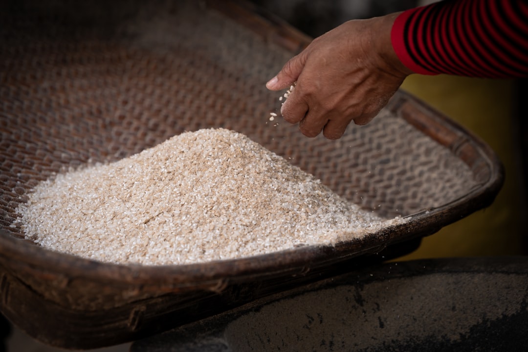 découvrez tout sur le riz : ses variétés, ses bienfaits nutritionnels, et des recettes savoureuses pour sublimer vos plats. apprenez à cuisiner le riz comme un vrai chef et explorez l'univers culinaire qu'il offre.