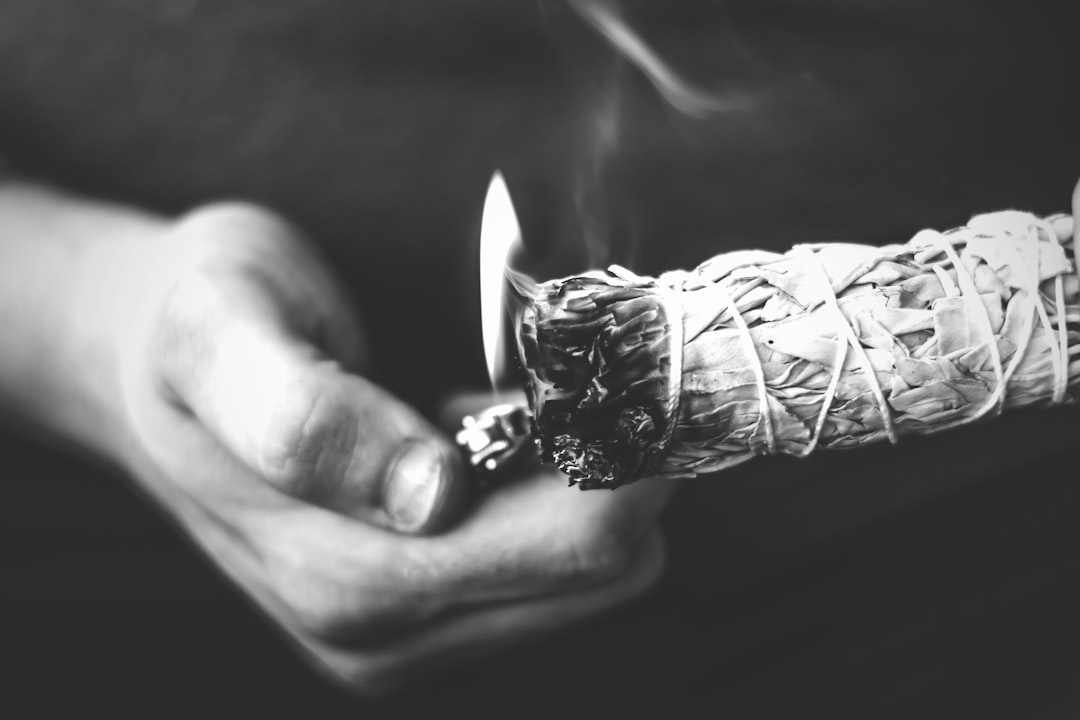 découvrez la sagesse à travers des récits inspirants et des réflexions profondes. explorez comment la sagesse peut transformer votre quotidien et vous guider vers une vie plus épanouissante.