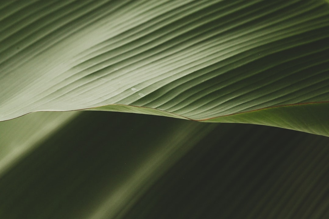 découvrez le concept de sagesse à travers des réflexions profondes, des pratiques spirituelles et des enseignements inspirants. explorez comment la sagesse peut transformer votre vie et enrichir vos relations.