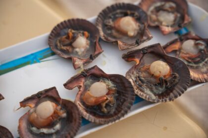 découvrez la richesse et la délicatesse des coquilles saint-jacques : un fruit de mer raffiné, idéal pour vos recettes gastronomiques. apprenez à les préparer et à les déguster pour une expérience culinaire inoubliable.