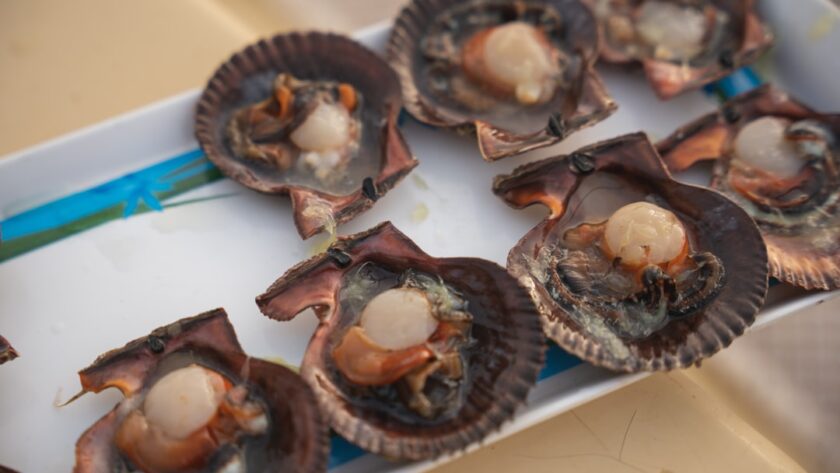 découvrez la richesse et la délicatesse des coquilles saint-jacques : un fruit de mer raffiné, idéal pour vos recettes gastronomiques. apprenez à les préparer et à les déguster pour une expérience culinaire inoubliable.