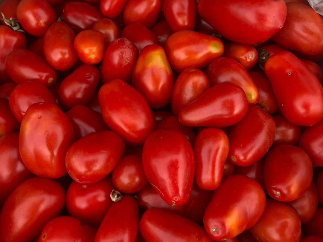 découvrez les produits de saison : des fruits et légumes frais, savoureux et respectueux de l'environnement. apprenez à cuisiner avec des ingrédients de saison pour une alimentation saine et gourmande.