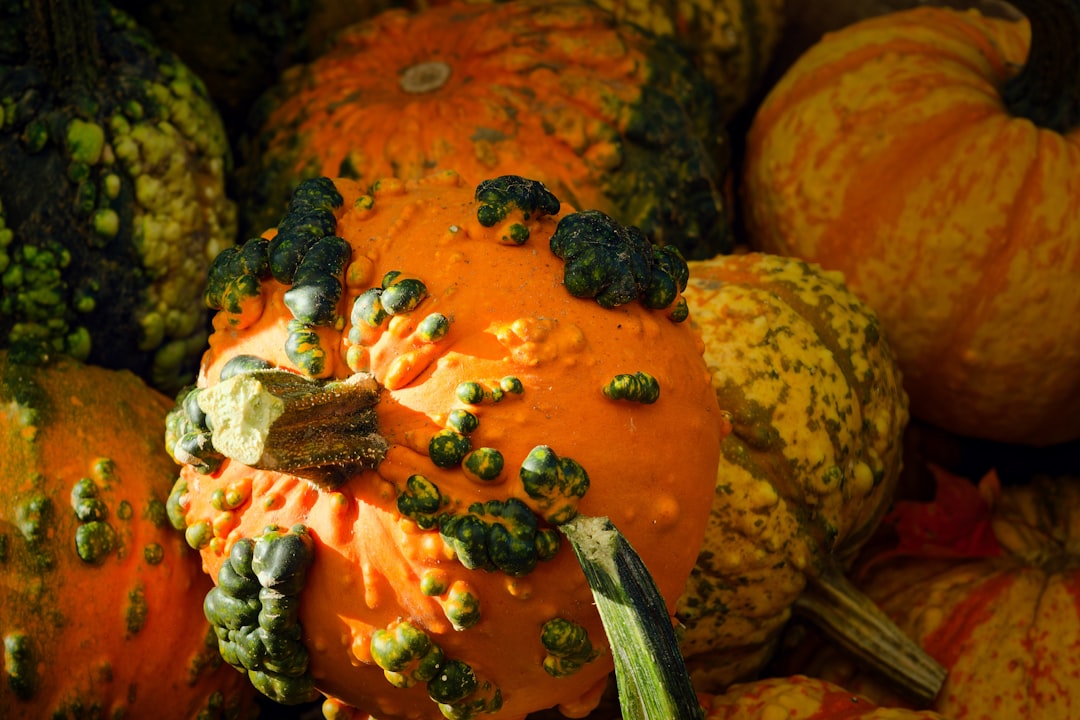 découvrez les bienfaits des fruits et légumes de saison : des saveurs authentiques, des recettes délicieuses et un impact positif sur l'environnement. adoptez une alimentation saine et responsable en choisissant des produits locaux et de saison.