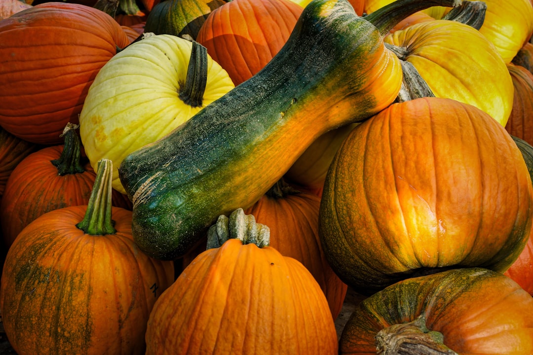 découvrez notre sélection de fruits et légumes de saison, frais et savoureux, qui mettent en avant les richesses de notre terroir. profitez d'une alimentation saine et responsable tout en soutenant les producteurs locaux.
