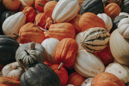 découvrez les bienfaits des produits de saison ! apprenez à choisir des fruits et légumes frais en fonction des saisons, pour une alimentation saine, durable et savoureuse. explorez des recettes et des conseils pour sublimer vos plats avec des ingrédients locaux et de qualité.