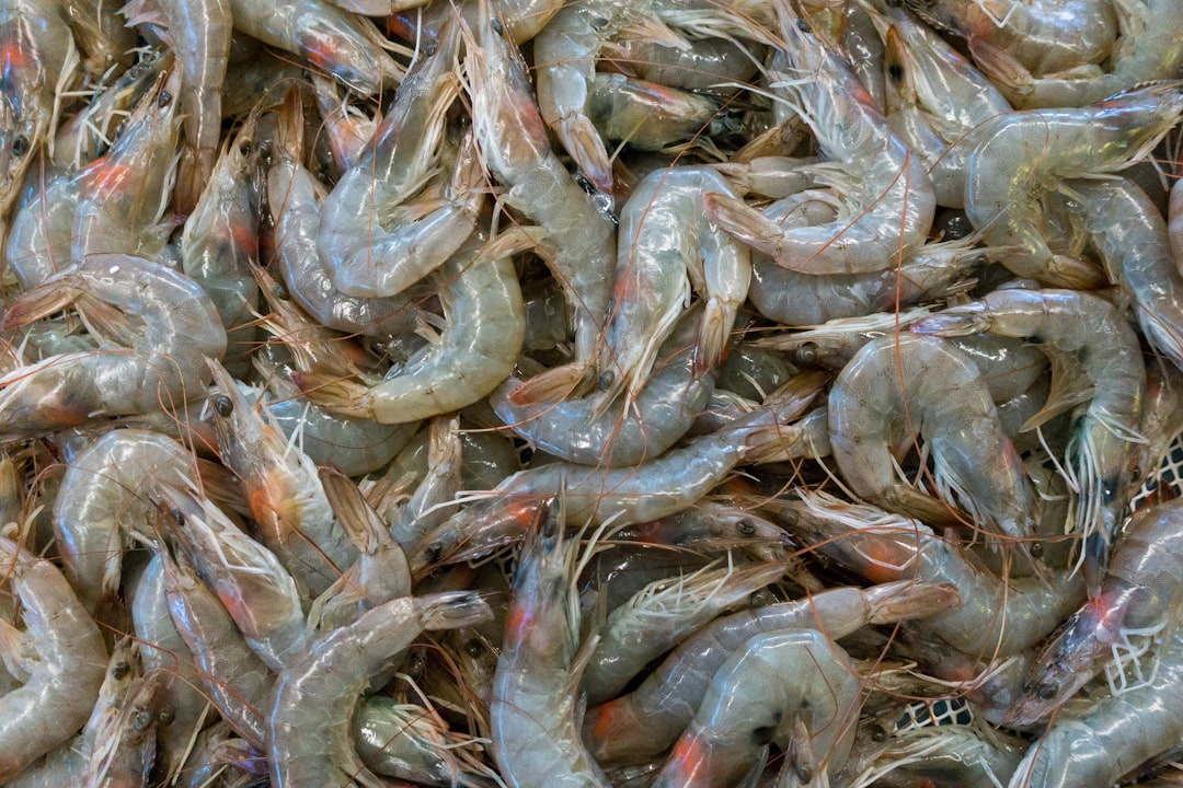 découvrez le monde fascinant des crevettes : des recettes savoureuses aux astuces de préparation, plongez dans l'univers de ce crustacé délicieux et emblématique de la cuisine marine.