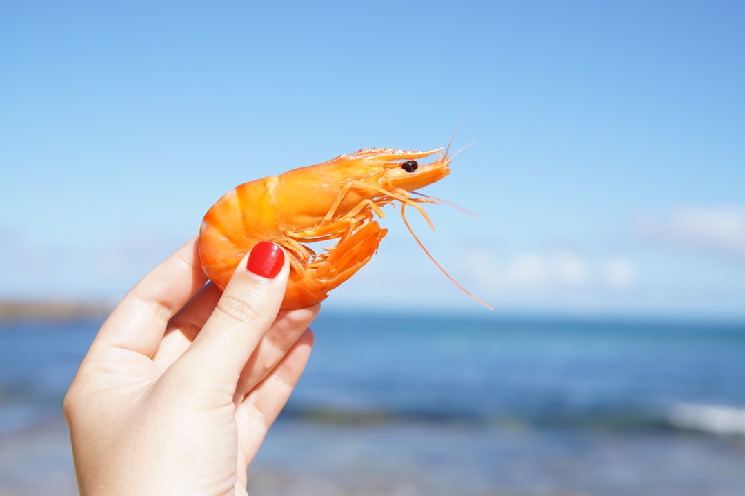 découvrez l'univers fascinant des crevettes ! explorez les différentes variétés, les recettes savoureuses et les bienfaits santé de ces délices marins. que vous soyez un amateur de fruits de mer ou un chef en herbe, apprenez à les cuisiner et à les déguster sous toutes leurs formes.