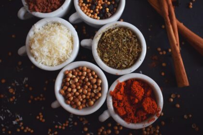 découvrez l'univers fascinant des épices, ces trésors aromatiques qui rehaussent vos plats et éveillent vos sens. explorez des mélanges authentiques, des conseils d'utilisation, et apprenez à profiter pleinement des bienfaits des épices dans votre cuisine.