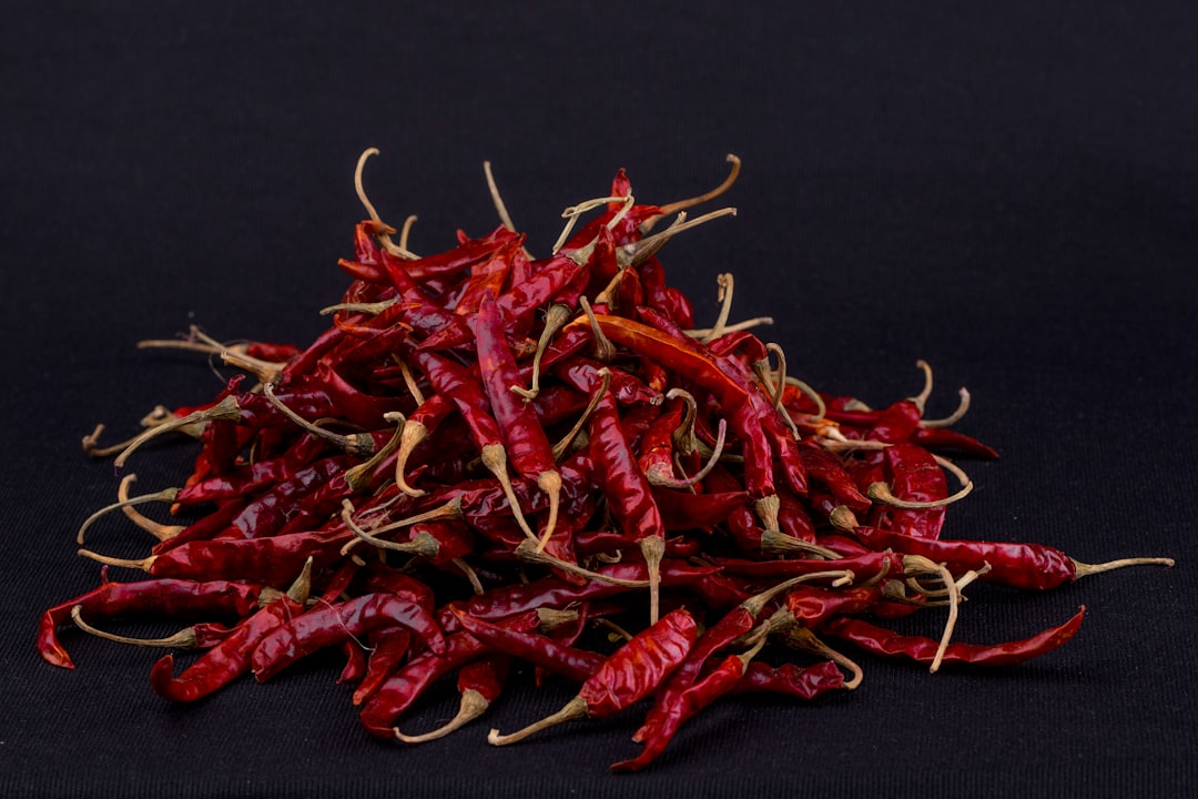 découvrez l'univers fascinant des saveurs épicées avec notre guide sur le piment et les plats relevés. apprenez à ajouter du piquant à vos recettes et explorez des conseils sur l'utilisation des épices pour rehausser vos créations culinaires.