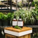 découvrez des plantes apaisantes pour soulager le stress et améliorer votre bien-être. transformez votre environnement avec des espèces naturelles qui favorisent la détente et la sérénité.