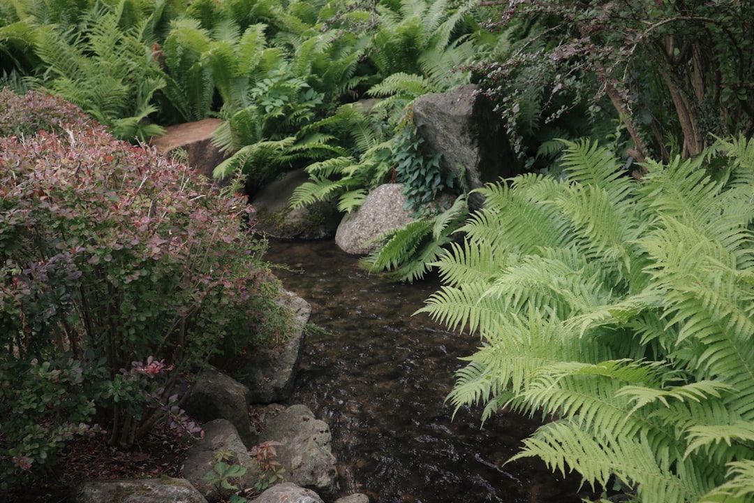 découvrez les plantes anti-stress qui pourront transformer votre espace en un havre de paix. apprenez comment ces végétaux apaisants améliorent votre bien-être et réduisent l'anxiété, tout en apportant une touche de verdure à votre intérieur.