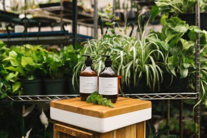 découvrez des plantes apaisantes pour soulager le stress et améliorer votre bien-être. transformez votre environnement avec des espèces naturelles qui favorisent la détente et la sérénité.