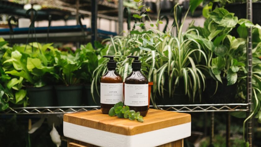 découvrez des plantes apaisantes pour soulager le stress et améliorer votre bien-être. transformez votre environnement avec des espèces naturelles qui favorisent la détente et la sérénité.