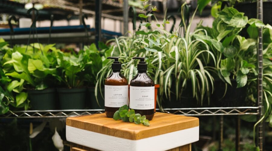 découvrez des plantes apaisantes pour soulager le stress et améliorer votre bien-être. transformez votre environnement avec des espèces naturelles qui favorisent la détente et la sérénité.
