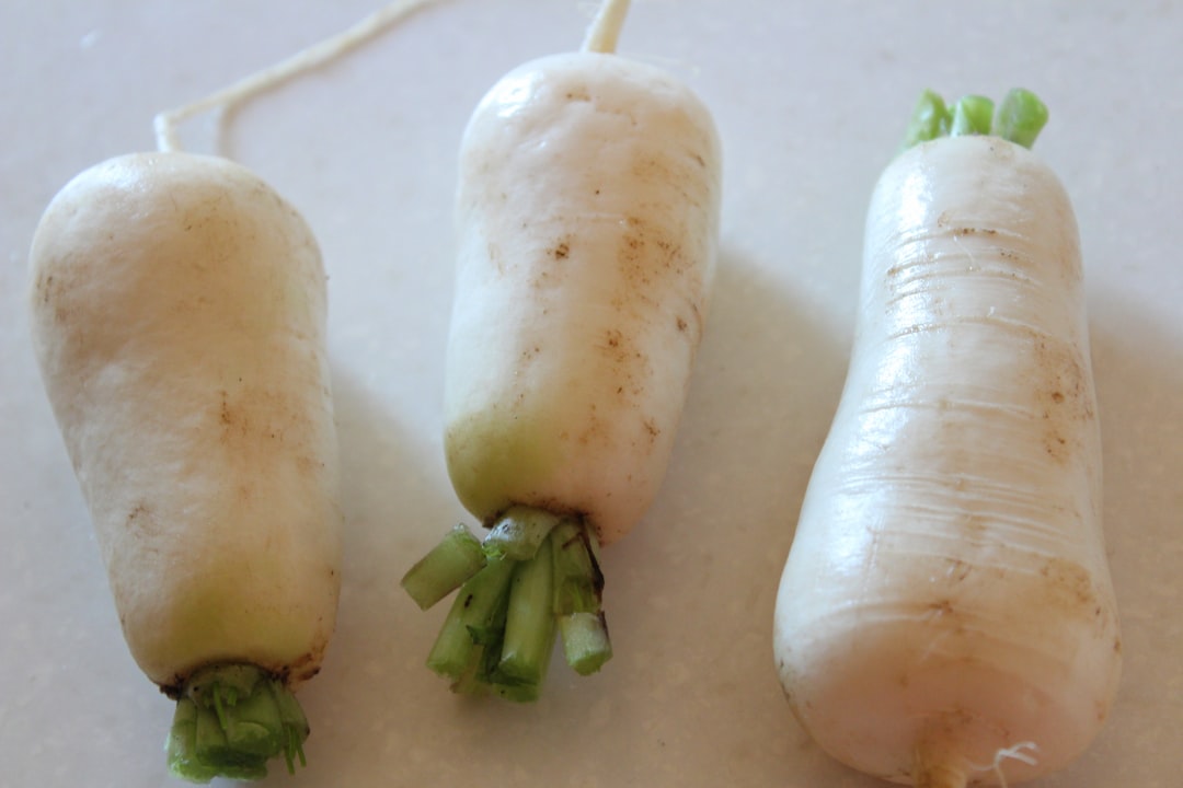 découvrez des recettes savoureuses de légumes farcis, alliant fraîcheur et créativité. apprenez à préparer des plats sains et gourmands en utilisant des ingrédients variés pour régaler vos papilles.