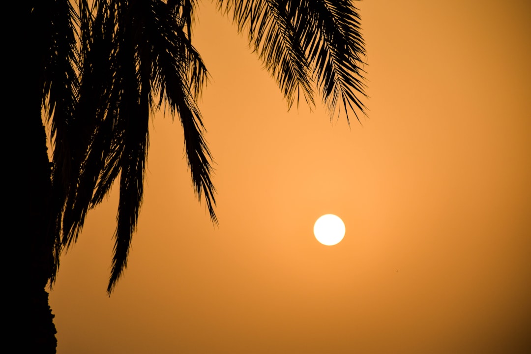 découvrez des solutions efficaces pour apaiser les coups de soleil. notre guide vous offre des conseils et produits pour soulager la douleur, hydrater votre peau et favoriser une guérison rapide.