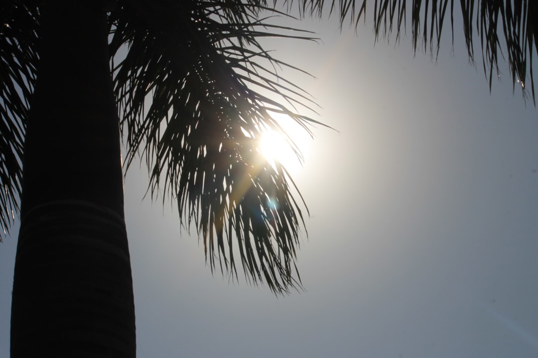 découvrez nos solutions efficaces pour soulager les coups de soleil. profitez d'un apaisement rapide et d'une hydratation intense pour votre peau après l'exposition au soleil. prenez soin de vous et retrouvez confort et bien-être!