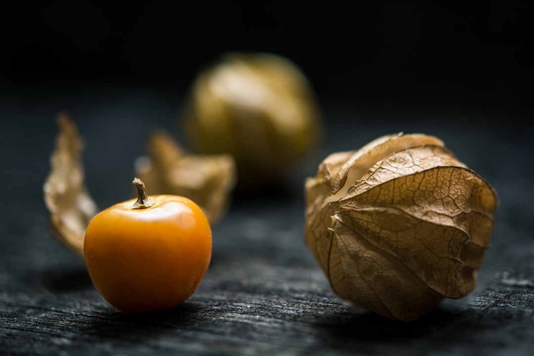 découvrez les superfoods, ces aliments aux multiples bienfaits pour votre santé. riches en nutriments, antioxydants et vitamines, intégrez-les facilement dans votre alimentation pour booster votre énergie et renforcer votre immunité. explorez notre sélection de super-aliments et transformez votre quotidien !