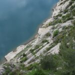 découvrez le tarbais, un haricot traditionnel du sud-ouest de la france, reconnu pour sa texture fondante et son goût délicat. cultivé dans les paysages de la bigorre, ce légume frais est idéal pour des recettes authentiques et savoureuses. goûtez à l'art culinaire du terroir avec le tarbais !