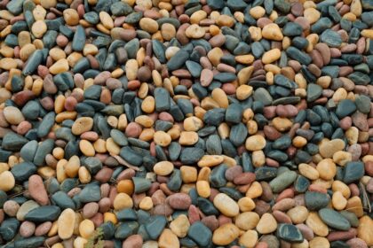 découvrez le monde envoûtant des fèves de tonka, un ingrédient prisé en pâtisserie et en cuisine. leur arôme unique, aux notes de vanille et d'amande, sublimera vos plats sucrés et salés. plongez dans la magie de cet épice rare et laissez libre cours à votre créativité culinaire.