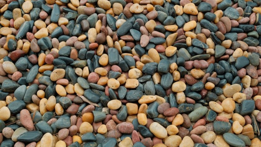 découvrez le monde envoûtant des fèves de tonka, un ingrédient prisé en pâtisserie et en cuisine. leur arôme unique, aux notes de vanille et d'amande, sublimera vos plats sucrés et salés. plongez dans la magie de cet épice rare et laissez libre cours à votre créativité culinaire.