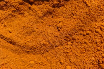 découvrez les bienfaits étonnants du curcuma, une épice aux propriétés anti-inflammatoires et antioxydantes. apprenez comment l'intégrer dans votre alimentation pour améliorer votre santé et bien-être.
