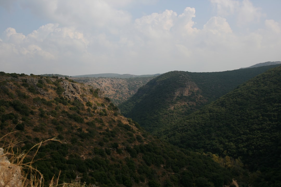 découvrez le tzatziki, une délicieuse sauce grecque à base de yaourt, concombre et ail. parfaite pour accompagner vos plats méditerranéens, elle offre une touche fraîche et crémeuse qui ravira vos papilles. idéale en entrée ou en apéritif, le tzatziki est un incontournable de la cuisine grecque à déguster sans modération.