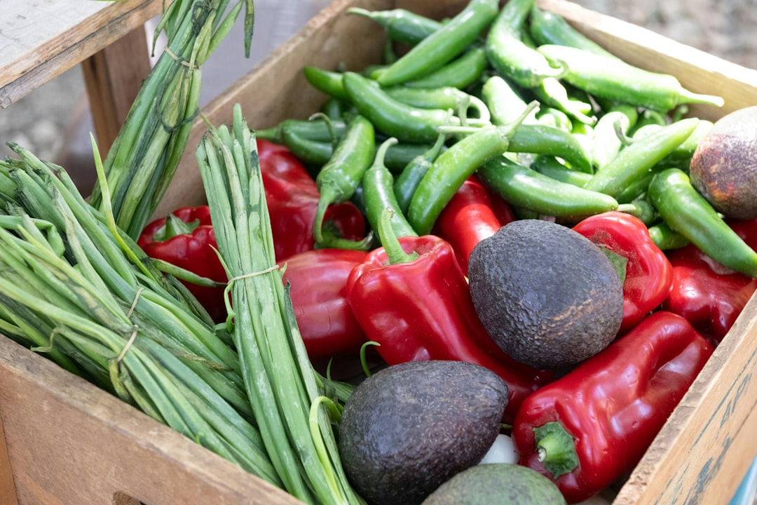 découvrez une sélection de délicieuses recettes à base de légumes. que vous soyez végétarien ou simplement en quête d'idées saines, laissez-vous inspirer par des plats colorés et savoureux qui raviront vos papilles.