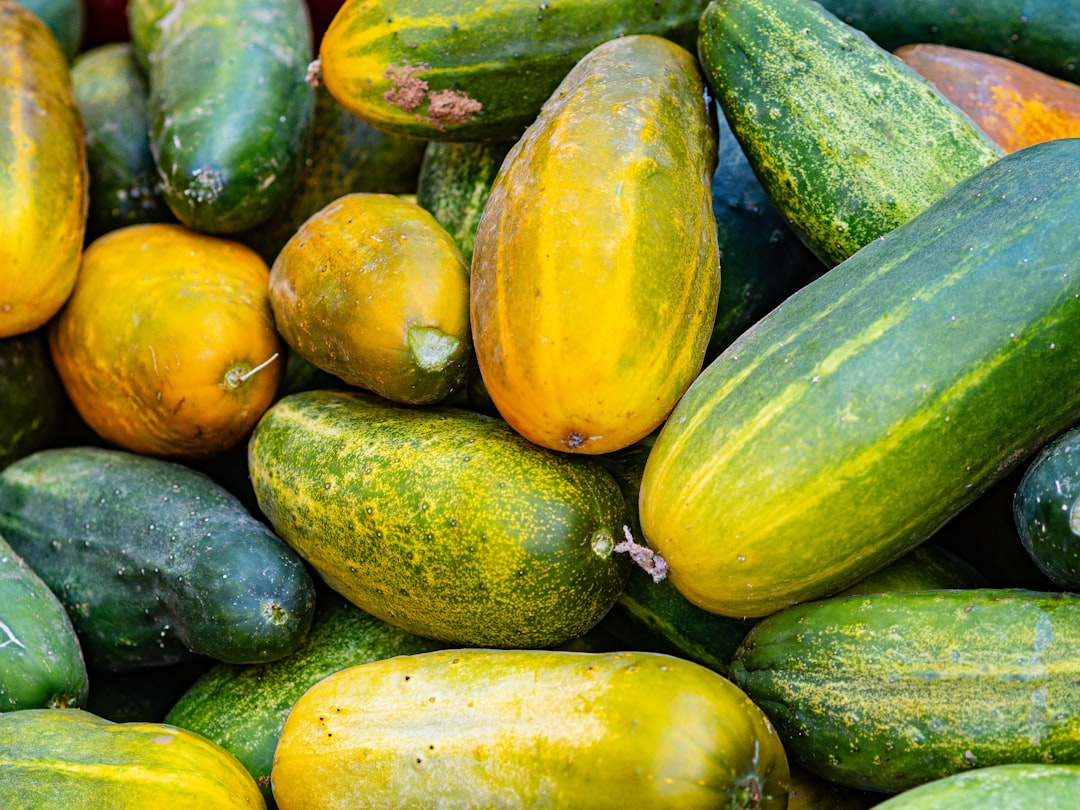 découvrez tout sur la courgette, un légume polyvalent et savoureux. apprenez à la cuisiner, à en tirer des bénéfices nutritionnels et à l'intégrer facilement dans vos recettes préférées pour une alimentation saine et délicieuse.