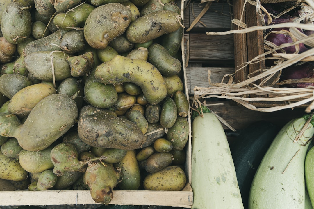 découvrez tout sur la courgette : ses bienfaits, recettes savoureuses et astuces de cuisine pour profiter pleinement de ce légume polyvalent et délicieux.
